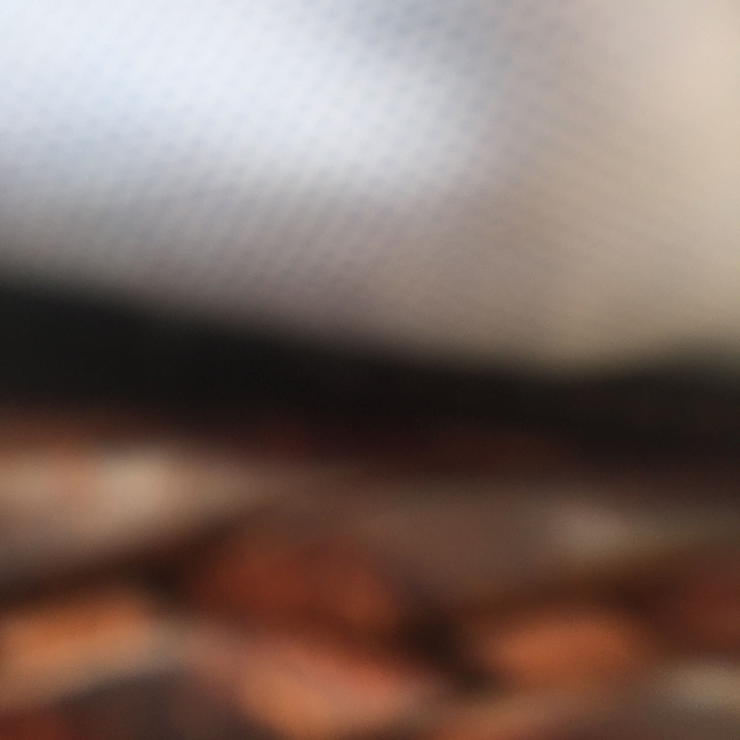 Guide Dogs NSW Day Tour Image -5b16260cbc1fb